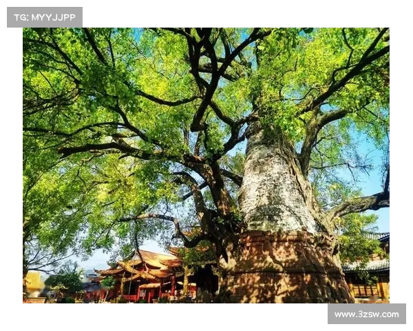 秘探胡景谷:解锁三湘第一洞天 秘探胡景谷:解锁三湘第一洞天